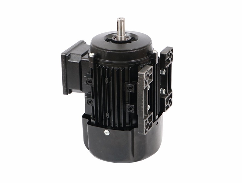 AC Three Phase Standard Motor