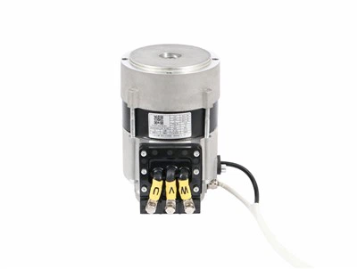 Motore CA a induzione a bassa tensione